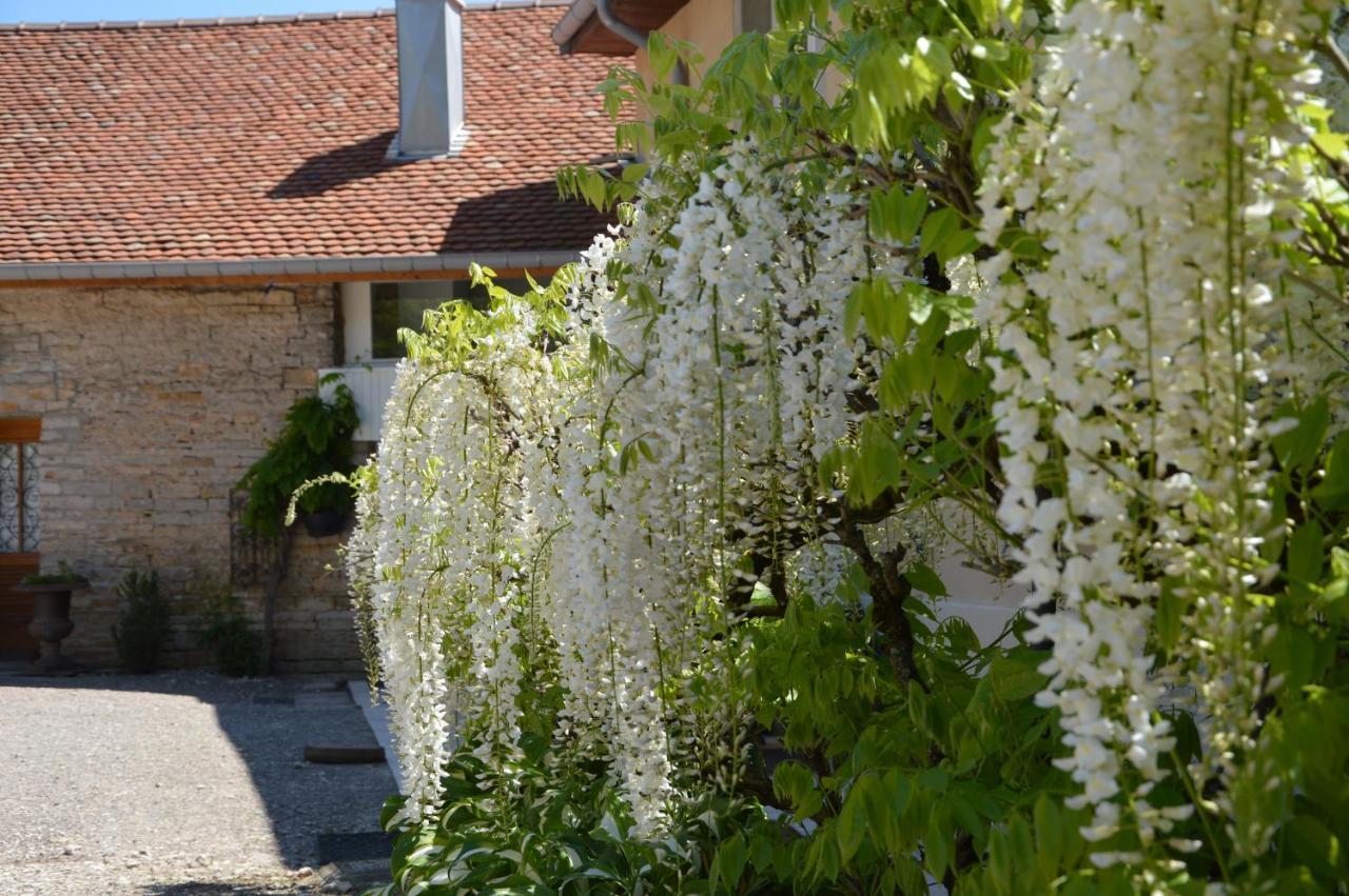 La Ferme Aux Glycines Hotel Aillevans Buitenkant foto